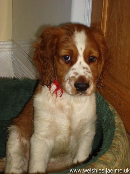 2009-04-17 32L.JPG